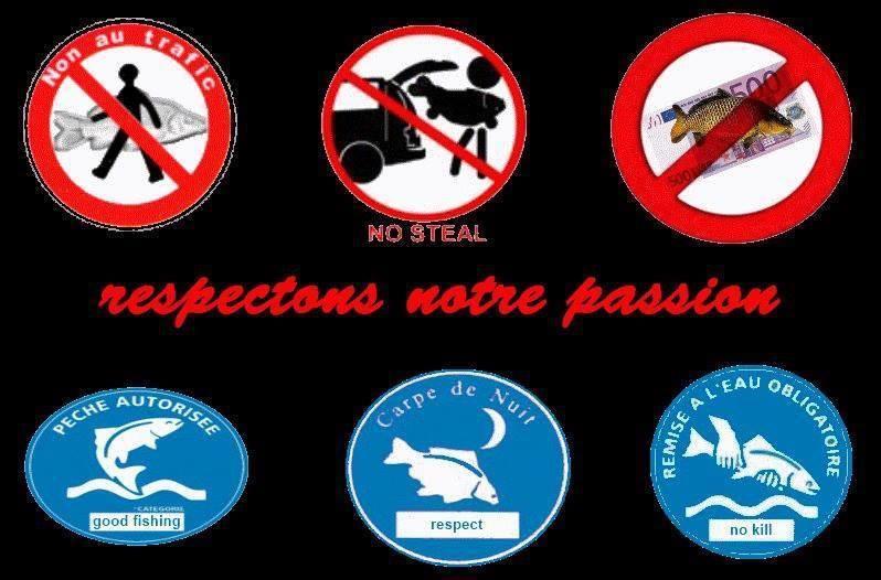 Semnale - 1377029548814375190190990489201n.jpg